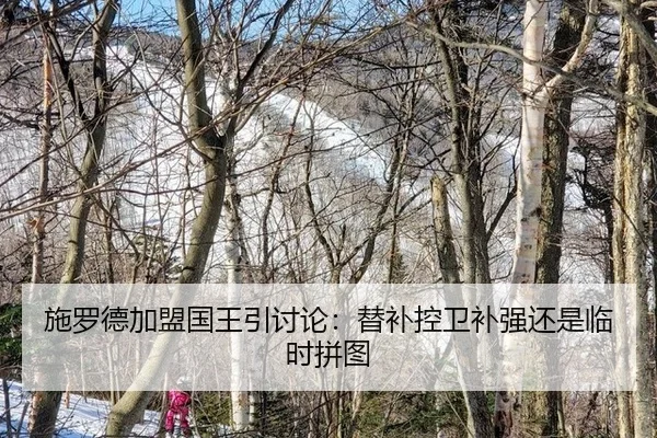 施罗德加盟国王引讨论：替补控卫补强还是临时拼图 - bsports
